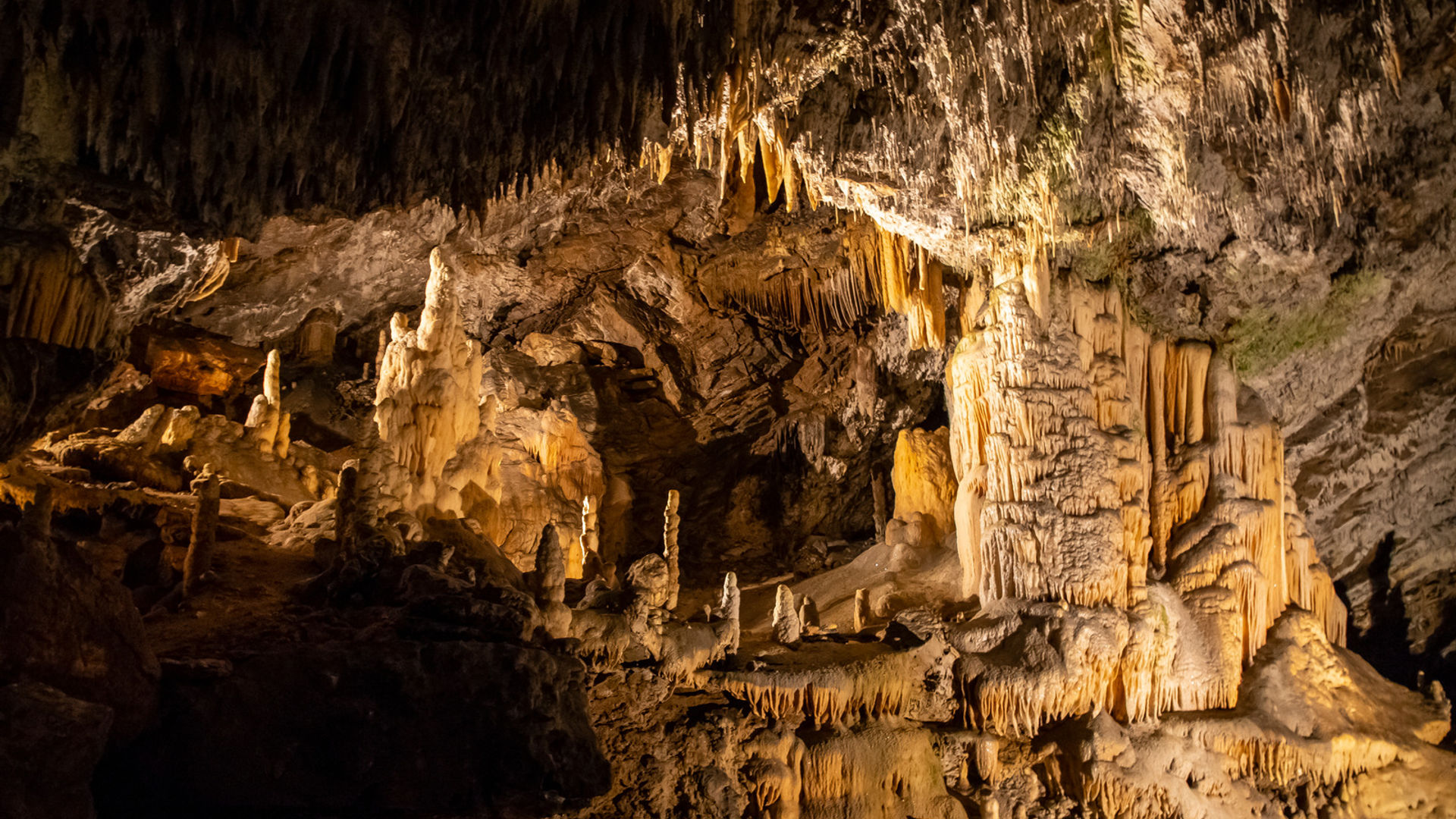 Postojna Cave- Slovenia