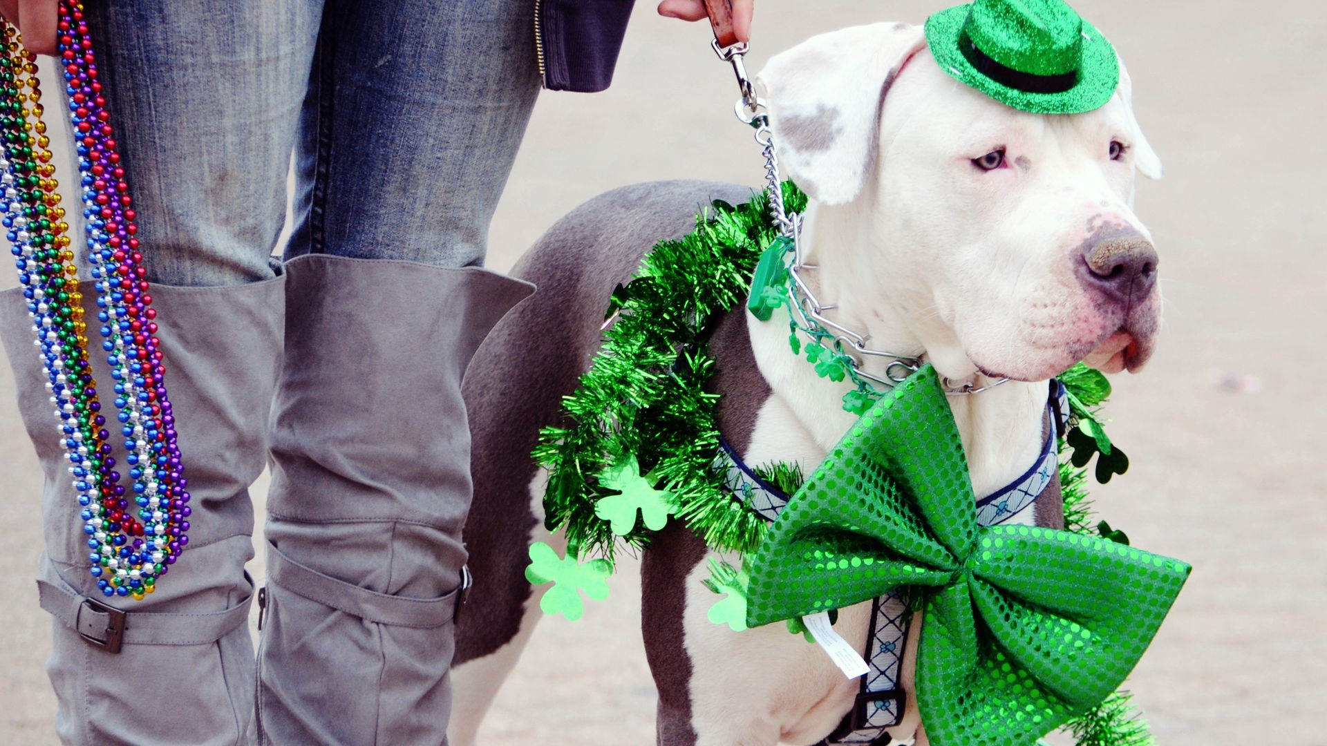 St. Patricks Day Parade, Dublin, Ireland