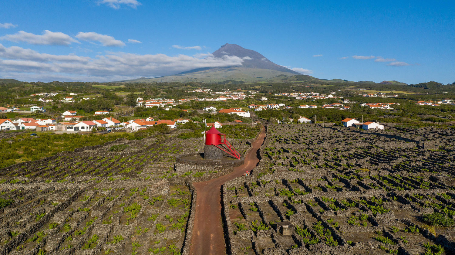 Frade Windmill & Crição Velha Vineyards, Pico Island