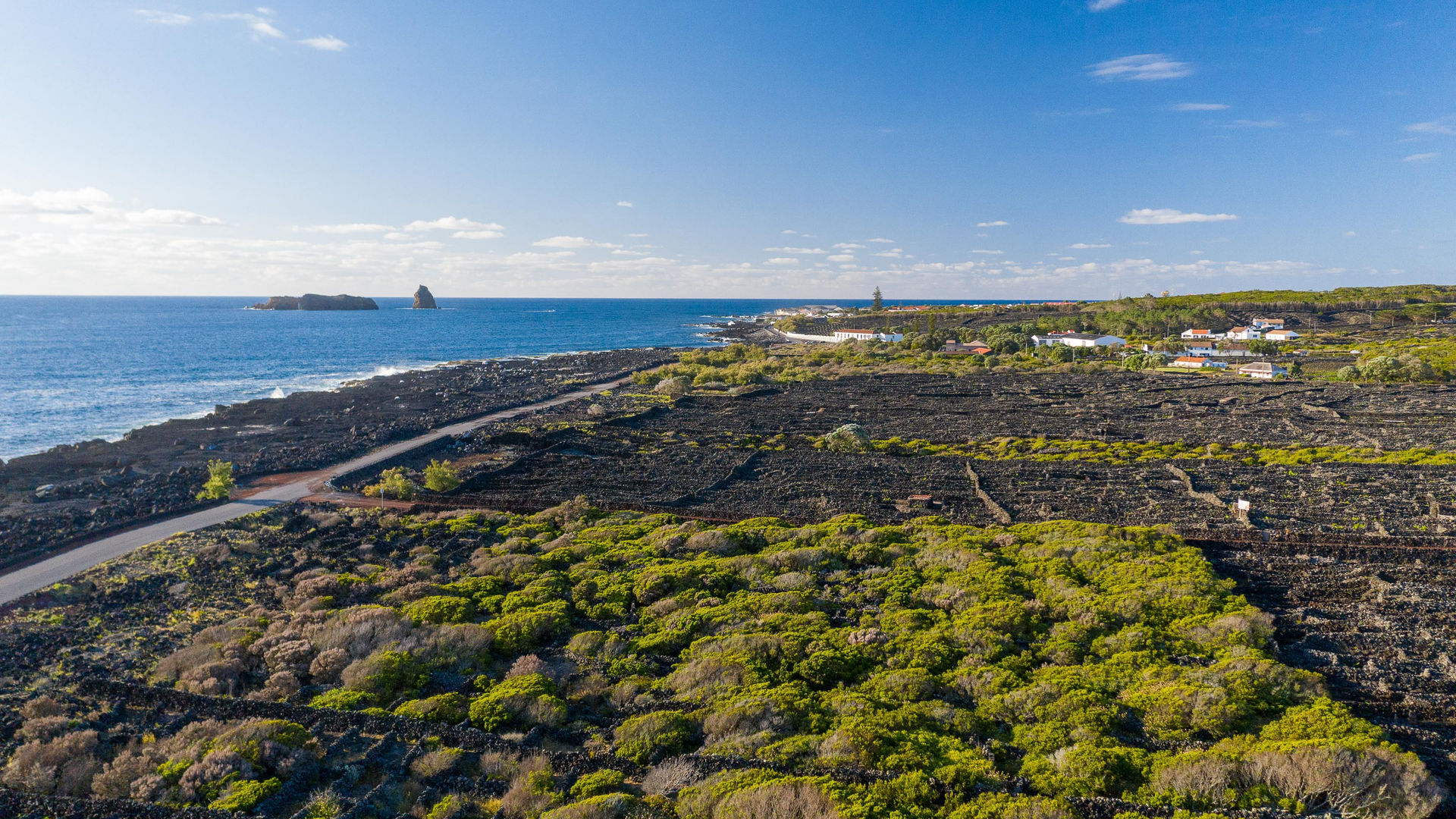 Criação Velha, Pico Island