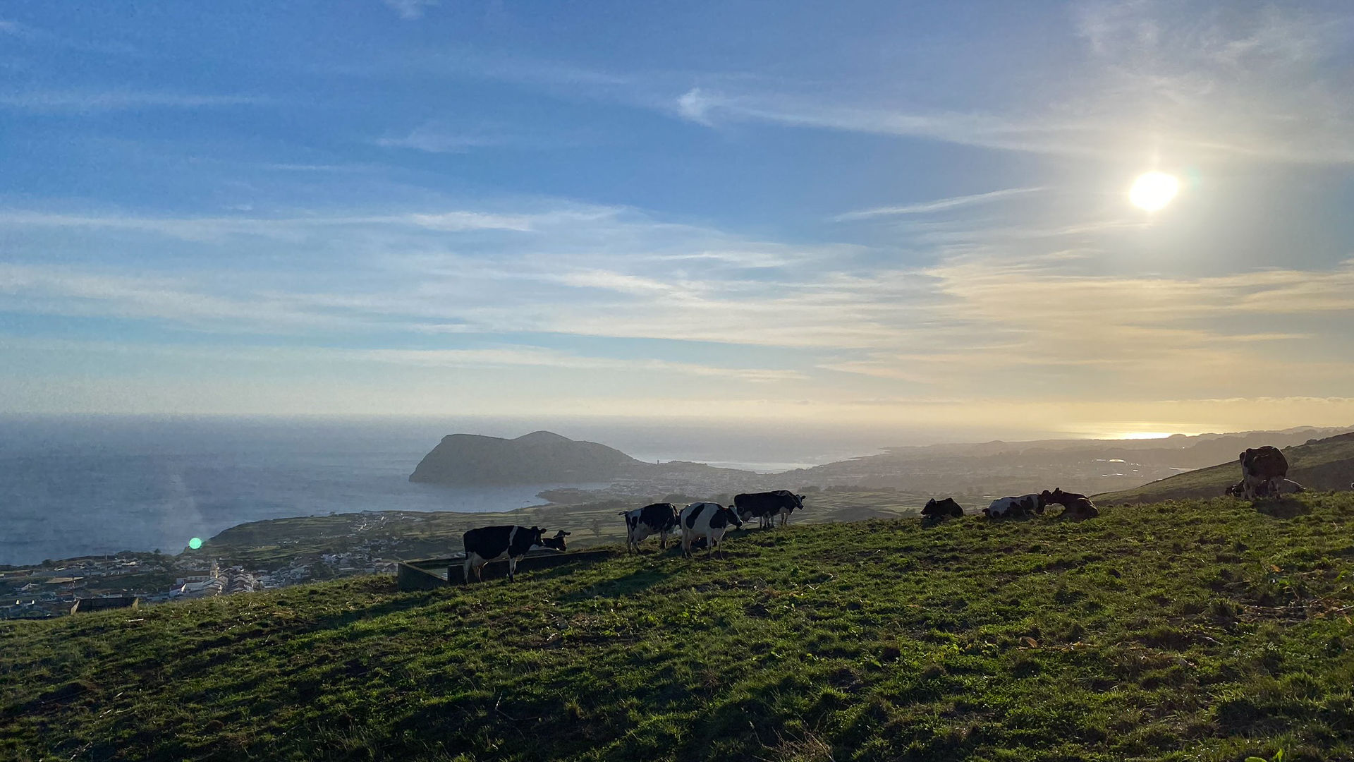 Cow Pasture, Terceira Island