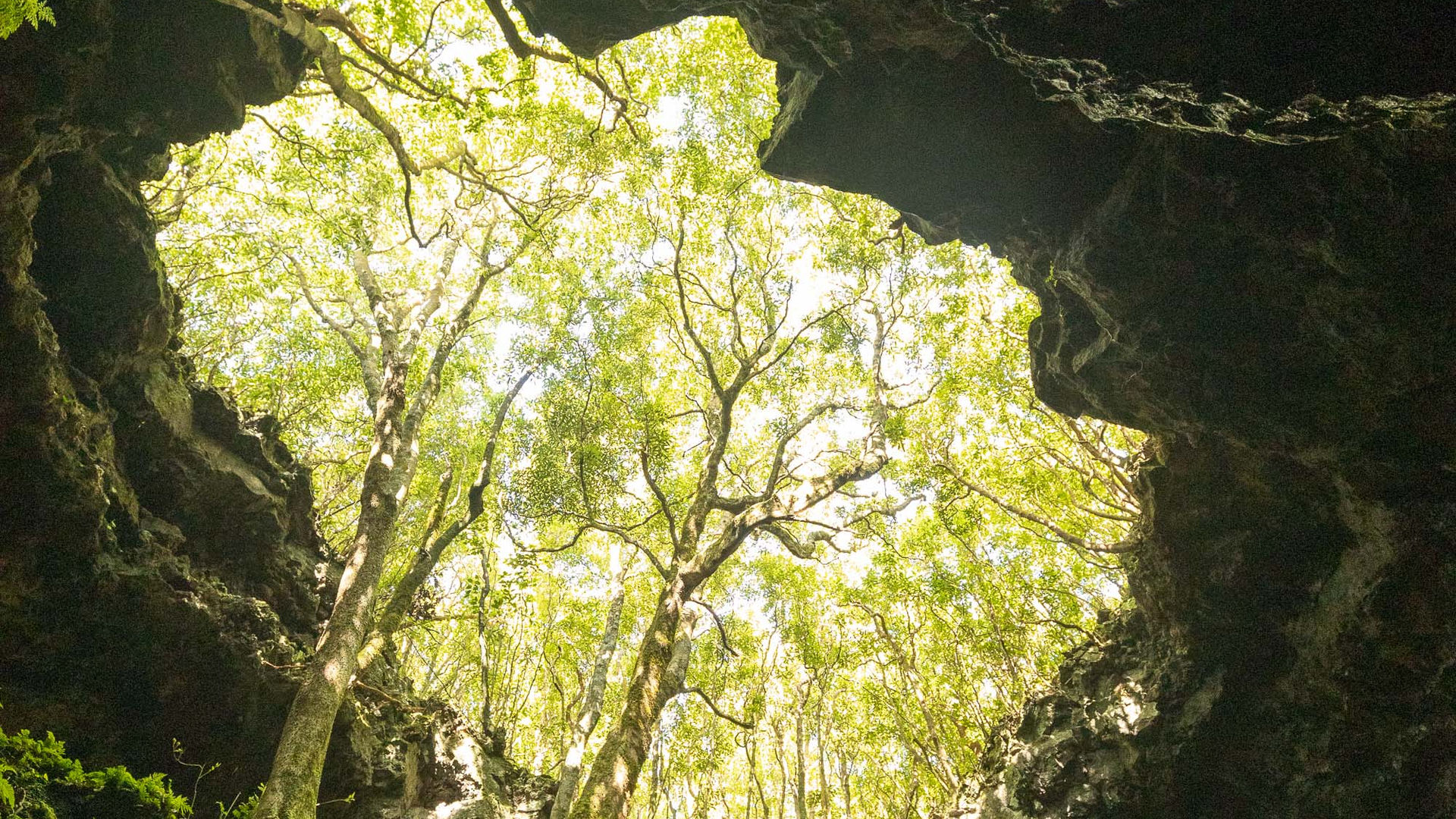 Gruta das Torres, Pico Island