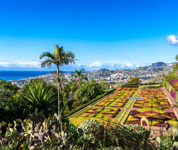 The Madeira Botanical Garden in Funchal, Madeira Island, Portugal, with patterned flower beds, palm trees, and views over the city and Atlantic Ocean. The image shows one of Madeira’s main garden attractions overlooking Funchal.