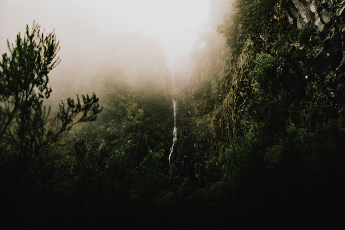 Risco Waterfall cascading through fog and dense forest along a Madeira hiking trail