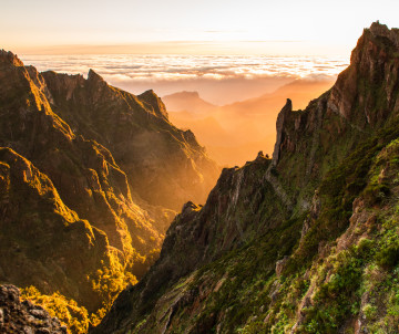 Dramatic mountain landscape at Pico do Arieiro in Madeira, with rugged volcanic peaks rising above a layer of clouds in warm golden light.