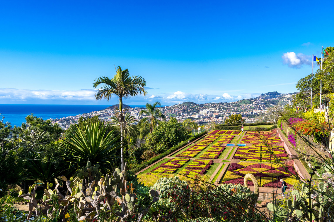 Panoramic view of the Madeira Botanical Garden in Funchal, Portugal, featuring geometric flower beds, palm trees, cacti, and tropical plants. The elevated garden overlooks Funchal&rsquo;s hillside neighborhoods and the Atlantic Ocean.