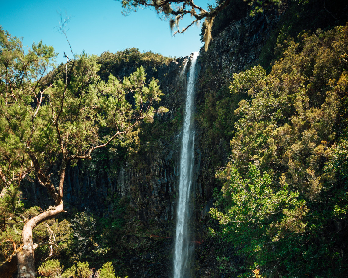 A tall waterfall descends over a dark volcanic cliff in the Raba&ccedil;al area of Calheta, Madeira, Portugal. Dense Laurisilva vegetation surrounds the cascade along one of the island&rsquo;s well-known levada hiking routes.