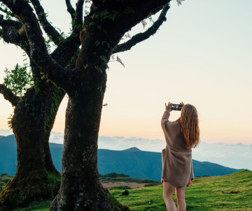 A woman photographs the mountain landscape from a grassy viewpoint in Madeira, Portugal. A large tree frames the scene, with layered volcanic peaks visible in the distance.