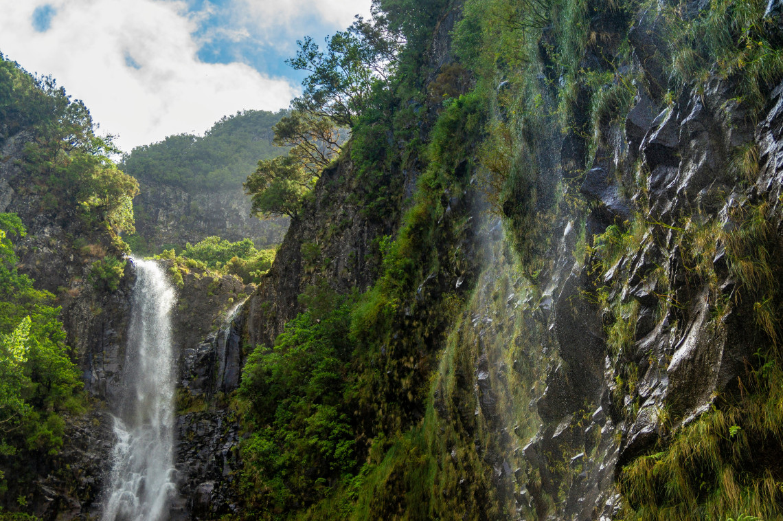 Risco Waterfall descends through a steep, forested valley in Raba&ccedil;al, Madeira, Portugal. Water flows over dark volcanic rock surrounded by dense vegetation along the Levada do Risco hiking route.