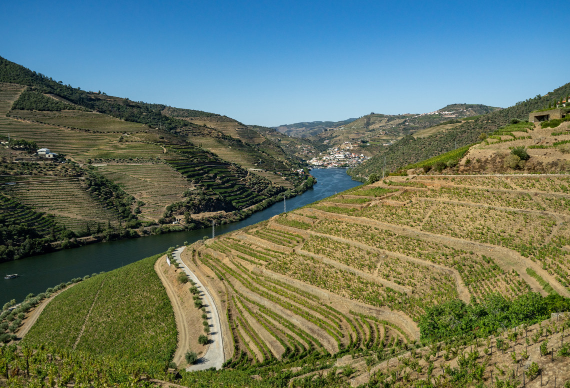 Curved terraced vineyards lining a bend in the Douro River, small town visible in the distance