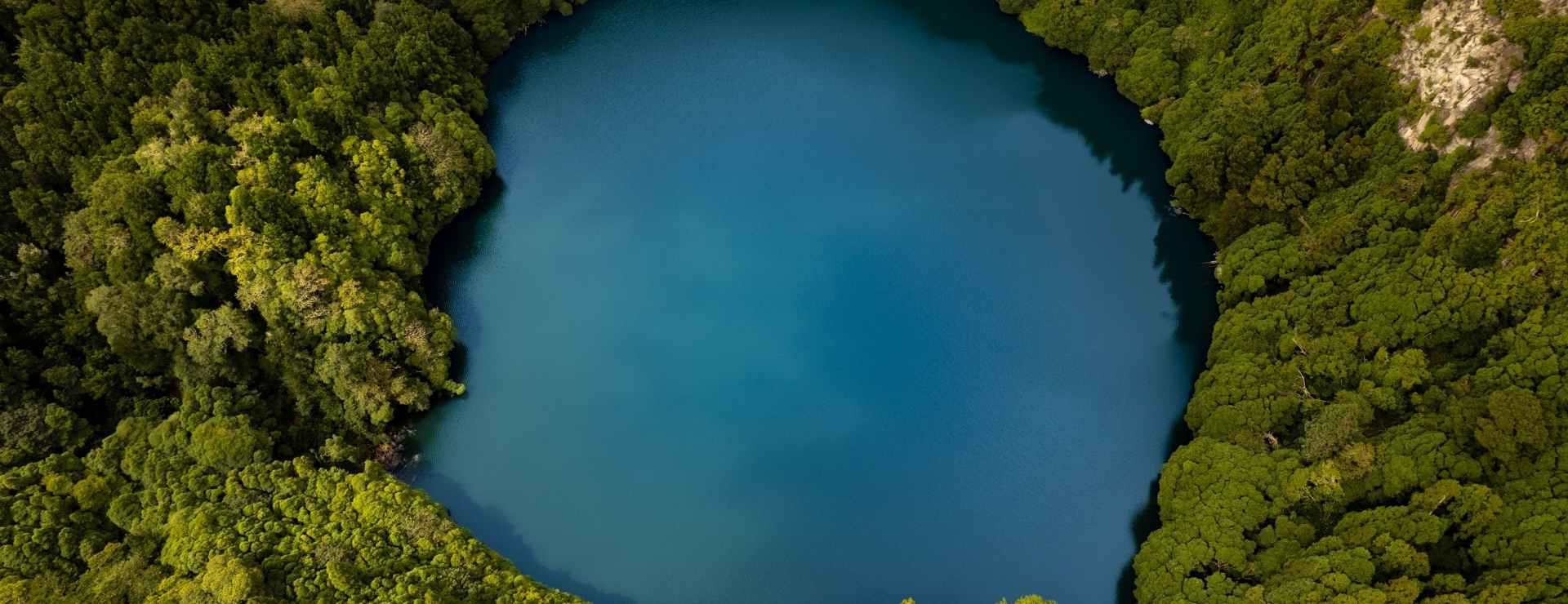  Straight-down aerial view of the circular Lagoa do Canário crater lake on São Miguel Island, Azores, surrounded by dense green forest