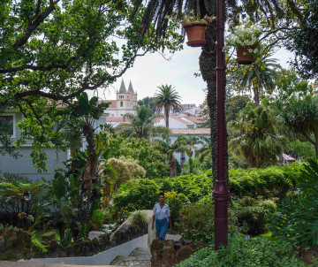 Lush tropical trees in the Jardim Duque da Terceira botanical garden with the historic cathedral of Angra do Heroísmo visible in the background, Terceira Island, Azores