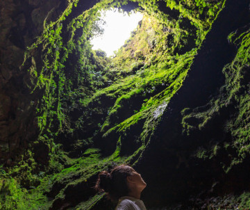 Visitor looking up inside Algar do Carvão on Terceira Island, where daylight enters through the volcanic chimney surrounded by moss, ferns and dense green vegetation.