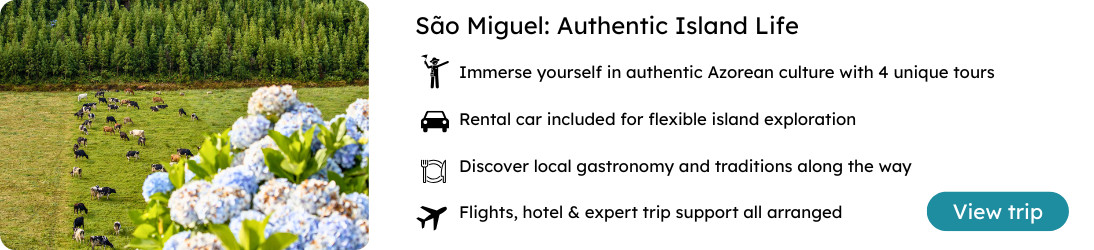 São Miguel Authentic Island Life Experience – Azores Package Pasture with cows and hydrangeas on São Miguel Island, Azores