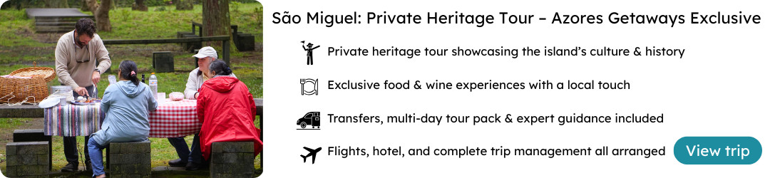São Miguel Private Heritage Tour – Azores Getaways Exclusive Group enjoying a picnic during a private heritage food and wine tour in São Miguel Island, Azores