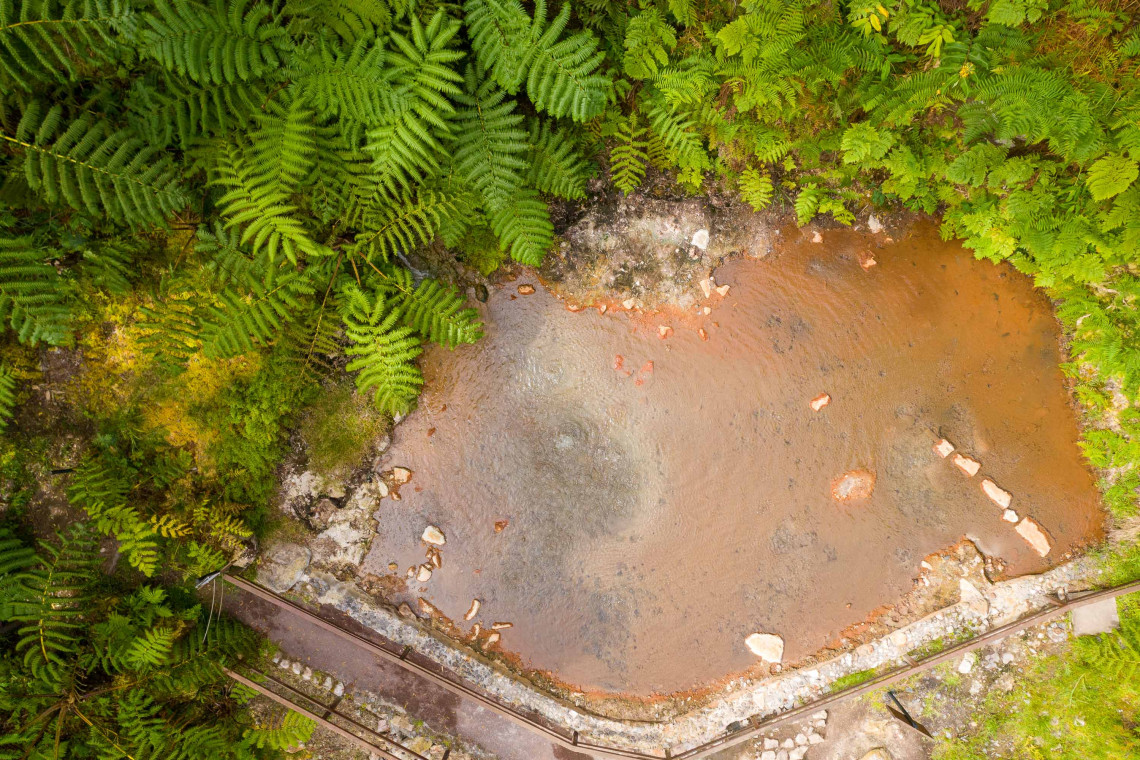 Overhead view of a natural thermal pool at Caldeira Velha near Ribeira Grande on S&atilde;o Miguel Island, surrounded by large ferns, dense subtropical vegetation and mineral-rich warm water.