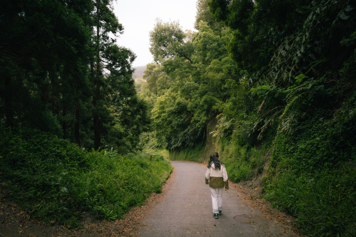 A hiker walks along a quiet path through dense green forest on S&atilde;o Miguel Island, surrounded by moss-covered slopes, trees and subtropical vegetation.