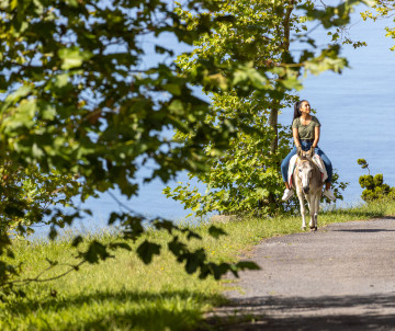 Traveler riding a donkey along a quiet rural road on Graciosa Island, surrounded by green fields and vegetation with the Atlantic coast nearby.