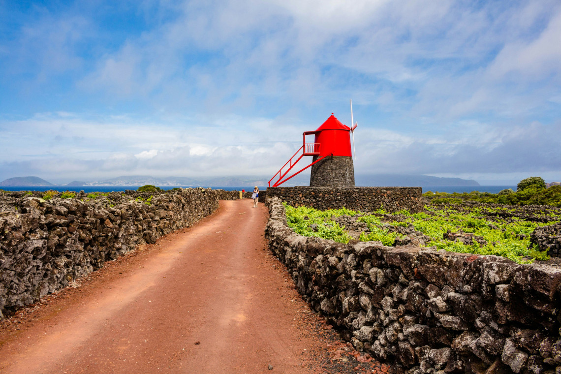 Red Moinho do Frade windmill beside a volcanic-earth path in Cria&ccedil;&atilde;o Velha, surrounded by vineyards divided by traditional black basalt walls.
