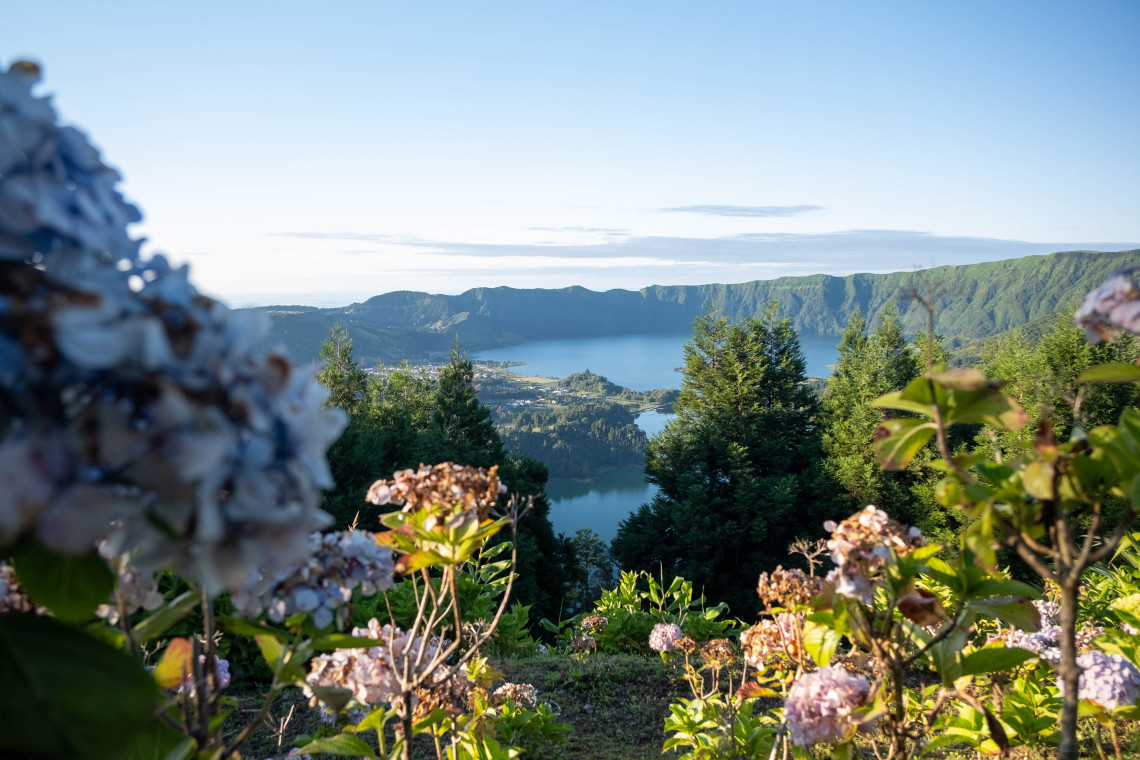 Scenic view over the Sete Cidades caldera on S&atilde;o Miguel Island, with the volcanic lake and village framed by blooming hydrangeas and green forest.