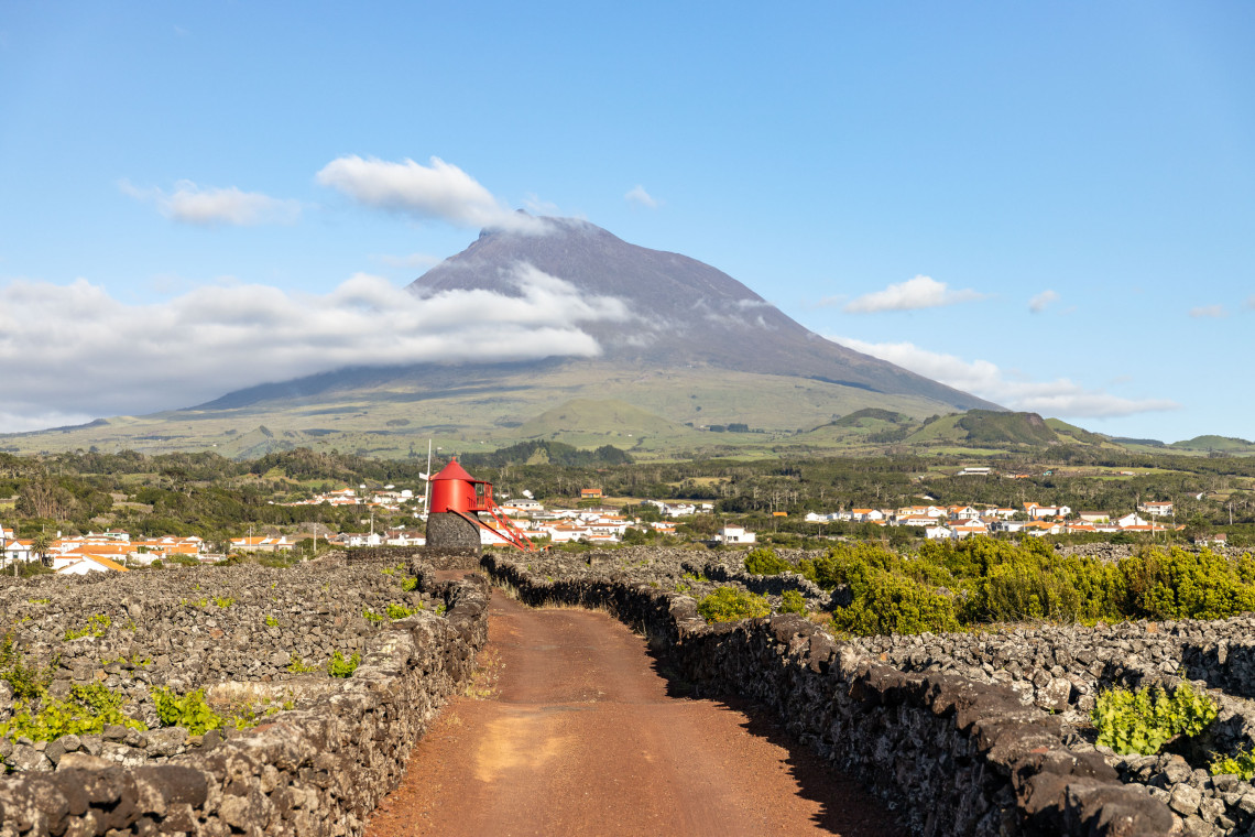 Traditional vineyards divided by black volcanic stone walls near Madalena on Pico Island, with a red windmill and Mount Pico rising in the background.