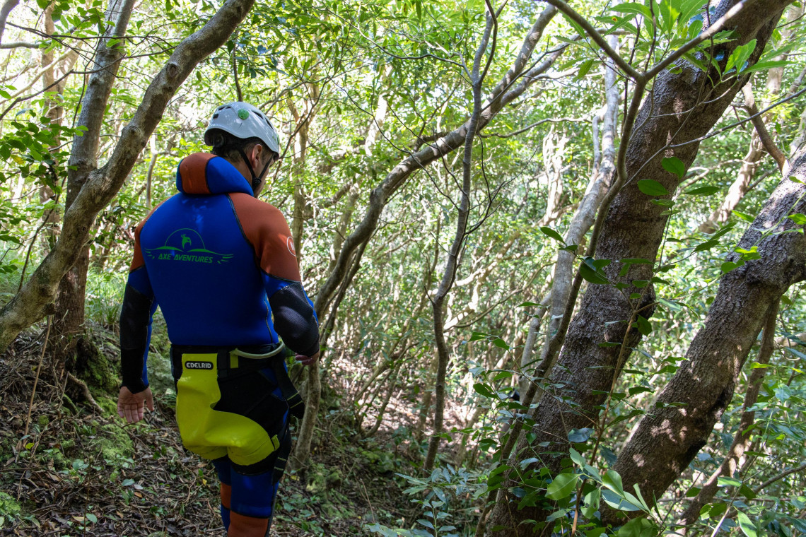 A canyoning participant wearing a helmet and wetsuit walks along a narrow forest trail on Flores Island in the Azores, Portugal. Dense branches and native vegetation surround the route toward the canyon.