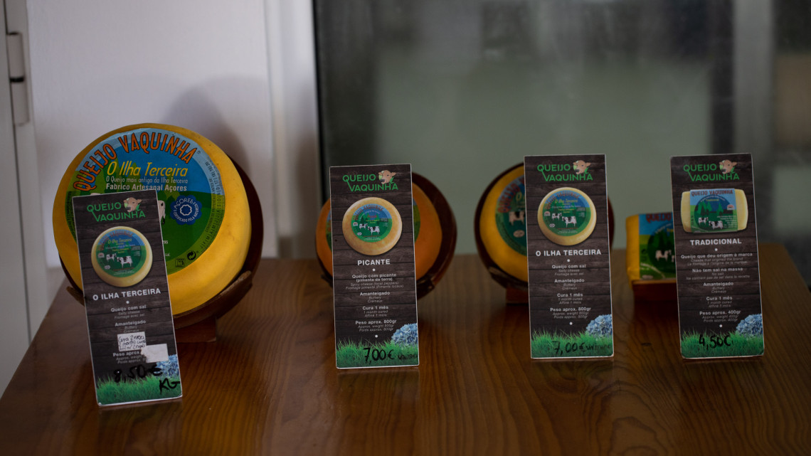 Display of Queijo Vaquinha varieties produced on Terceira Island, including traditional, Ilha Terceira and spicy cheeses.