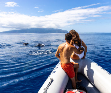 Two travellers watch dolphins swimming beside a small boat off Corvo Island in the Azores, Portugal. The island’s volcanic coastline rises across the calm Atlantic water.