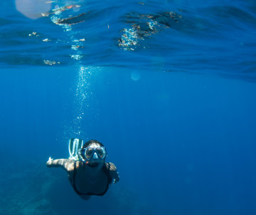 Snorkeler swimming through clear blue Atlantic waters off Santa Maria Island in the Azores.