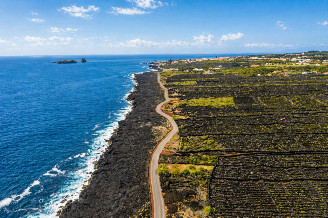 Aerial view of the volcanic vineyards of Cria&ccedil;&atilde;o Velha on Pico Island, divided by traditional black basalt walls beside the Atlantic coastline. The Madalena Islets are visible offshore.
