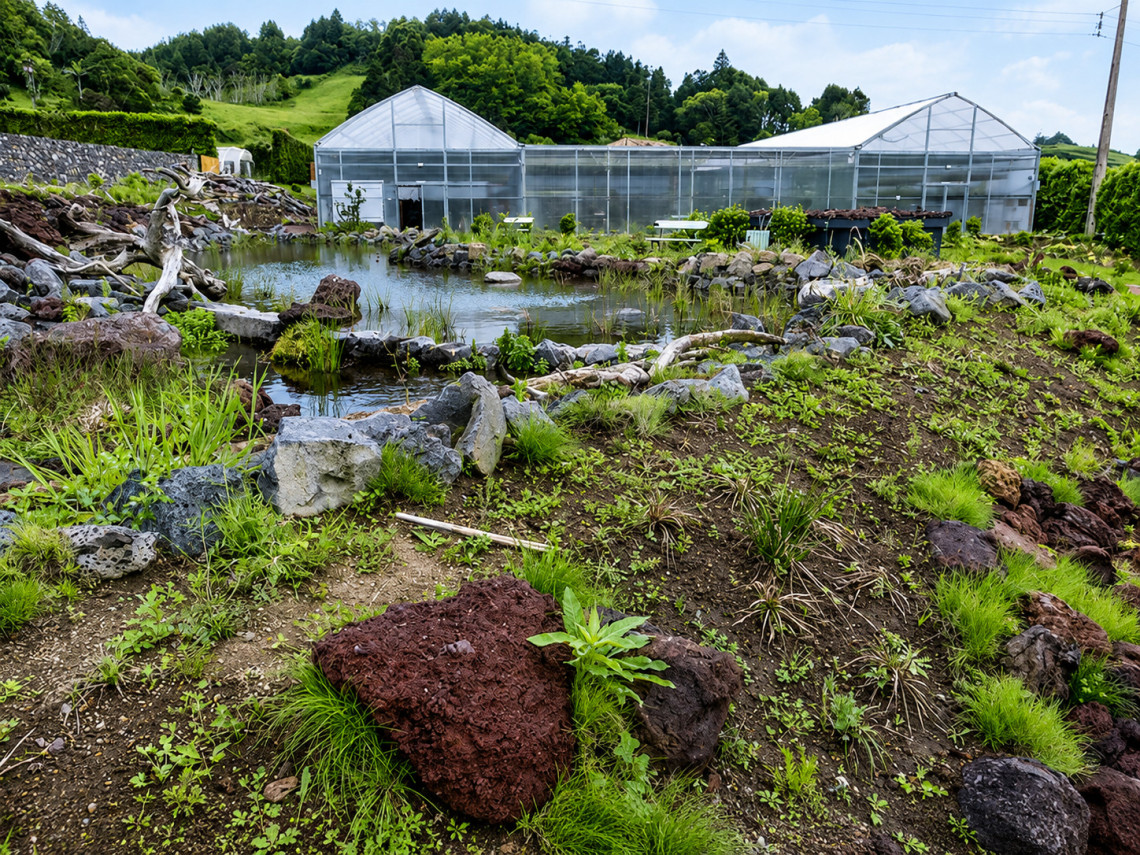 Faial Botanical Garden in Flamengos, with volcanic rocks, native vegetation, a landscaped pond and greenhouse facilities surrounded by green hills.