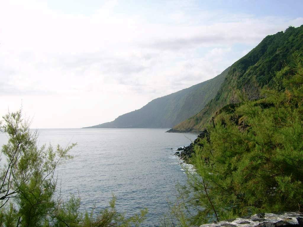 Coastal view from Faj&atilde; Grande on S&atilde;o Jorge Island, with dense vegetation covering the steep volcanic slopes beside the calm Atlantic Ocean.