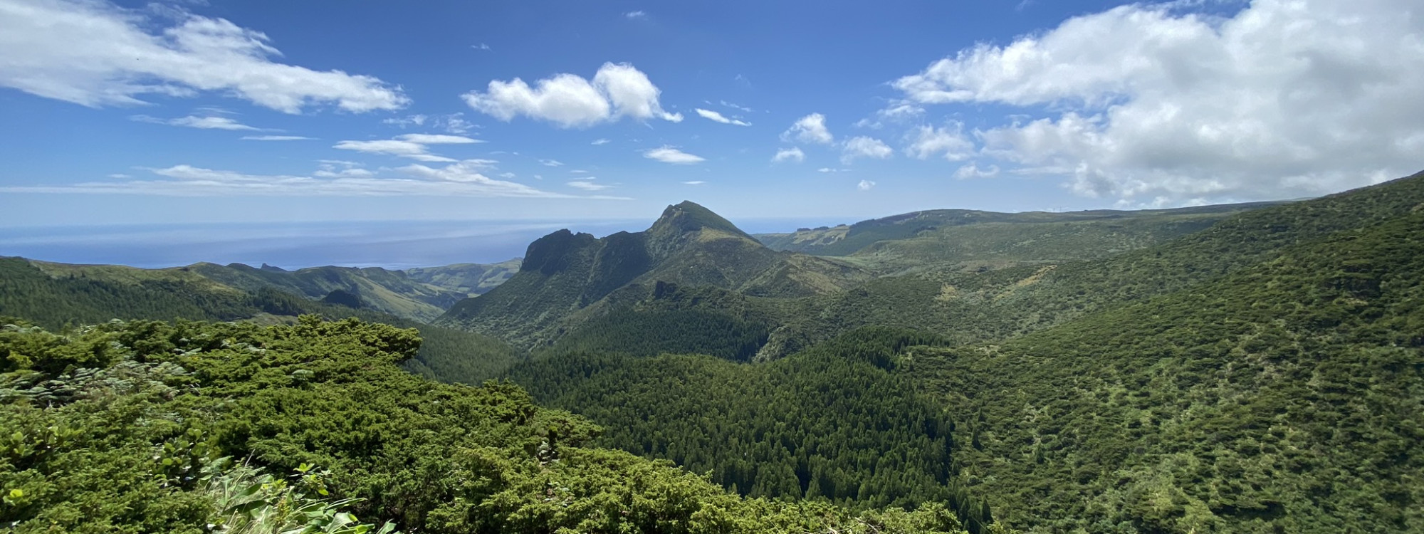 Panoramic view from Miradouro do Vale da Fazenda on Flores Island in the Azores, Portugal. Forested volcanic valleys extend toward the pointed profile of Pico da Sé and the Atlantic Ocean in the distance.