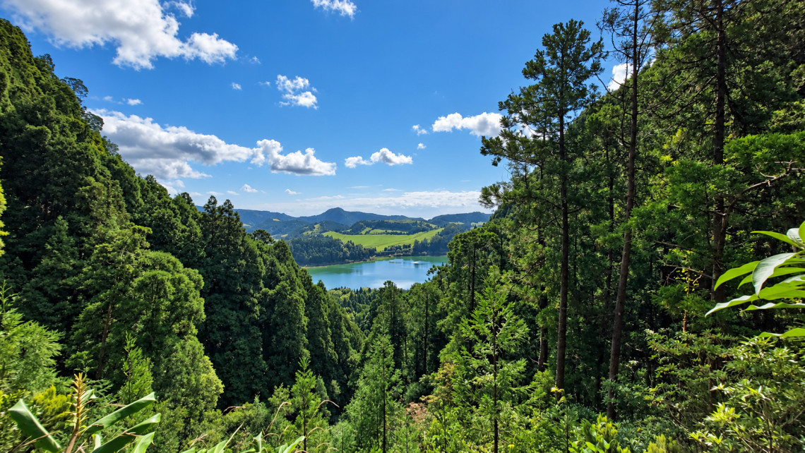 Lagoa das Furnas seen through dense forest on S&atilde;o Miguel Island, with the green volcanic lake and rolling countryside visible between the trees.