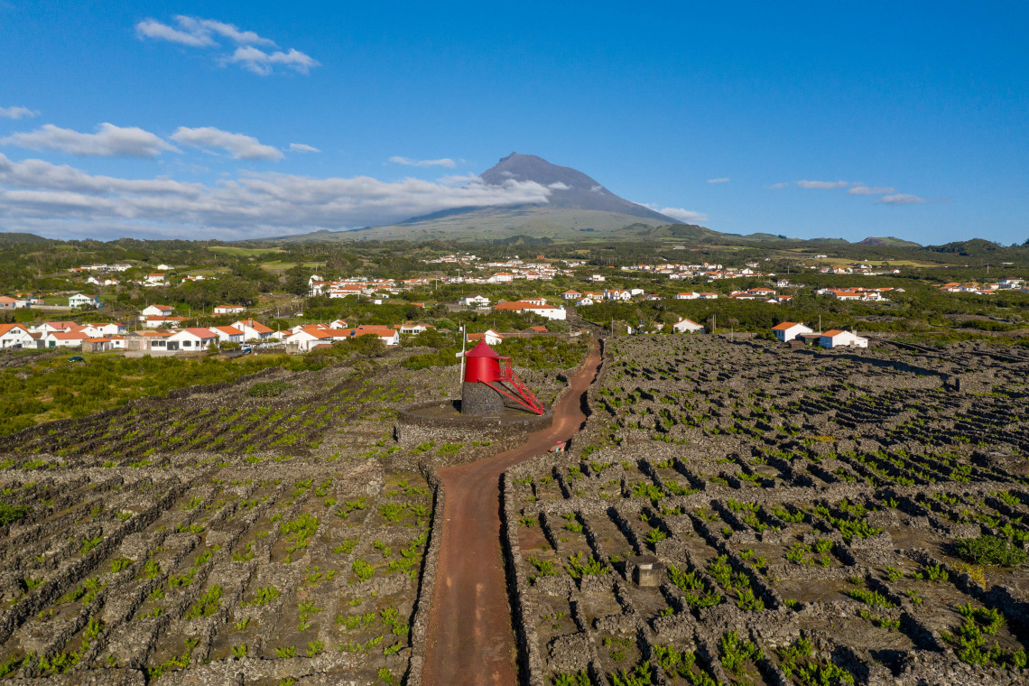 Aerial view of the volcanic vineyards of Cria&ccedil;&atilde;o Velha on Pico Island, with a traditional red windmill and Mount Pico rising in the background.
