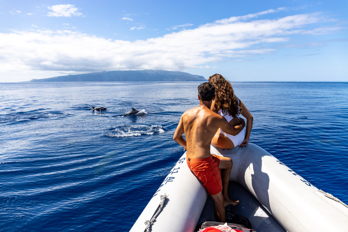 Couple watching dolphins swimming beside their boat in the Atlantic Ocean between Flores and Corvo islands in the Azores.