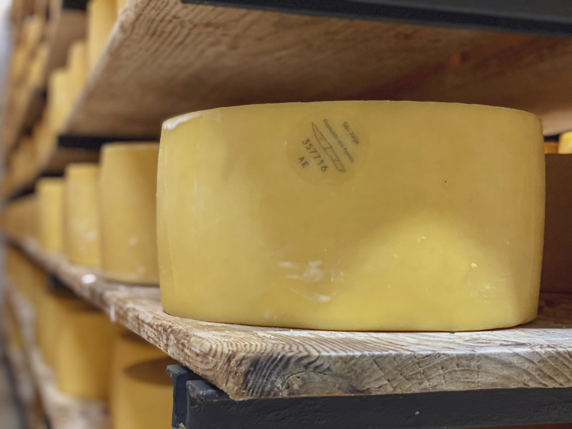 Wheels of traditional S&atilde;o Jorge cheese aging on wooden shelves on S&atilde;o Jorge Island, reflecting the island&rsquo;s long-established dairy and cheesemaking tradition.