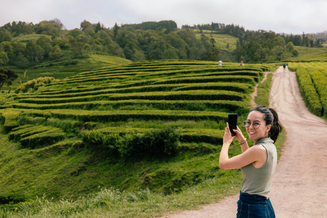 Visitor photographing the patterned green tea fields at Gorreana Tea Plantation on S&atilde;o Miguel Island, with rows of cultivated tea covering the hills.