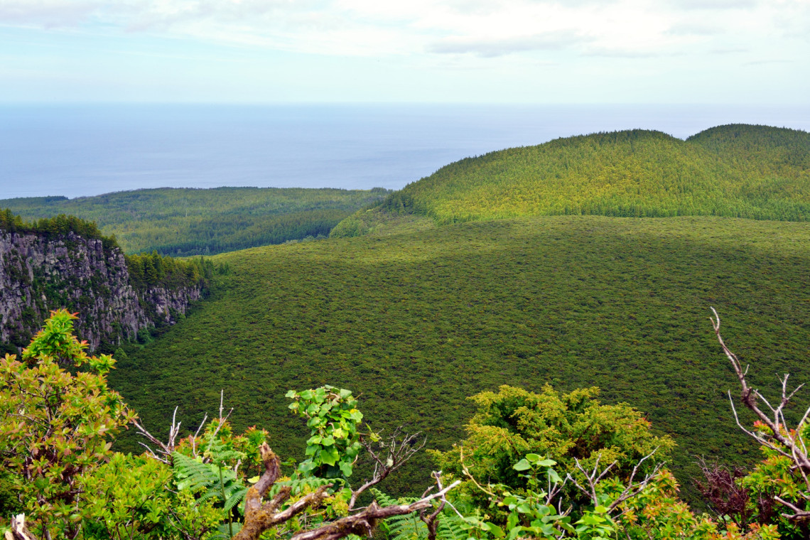 Elevated landscape view from Serra de Santa B&aacute;rbara on Terceira Island, with dense green vegetation covering the volcanic terrain and the Atlantic Ocean stretching across the horizon.