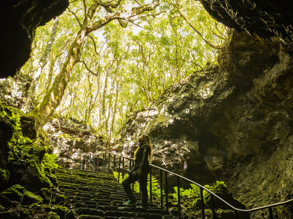 Visitor ascending stone steps through the forested entrance of Gruta das Torres, a volcanic lava tube in Cria&ccedil;&atilde;o Velha on Pico Island.
