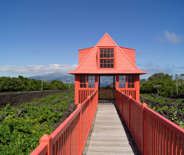 Red wooden mirante at the Museu do Vinho in Madalena, reached by a raised walkway through vineyards enclosed by black basalt walls on Pico Island.