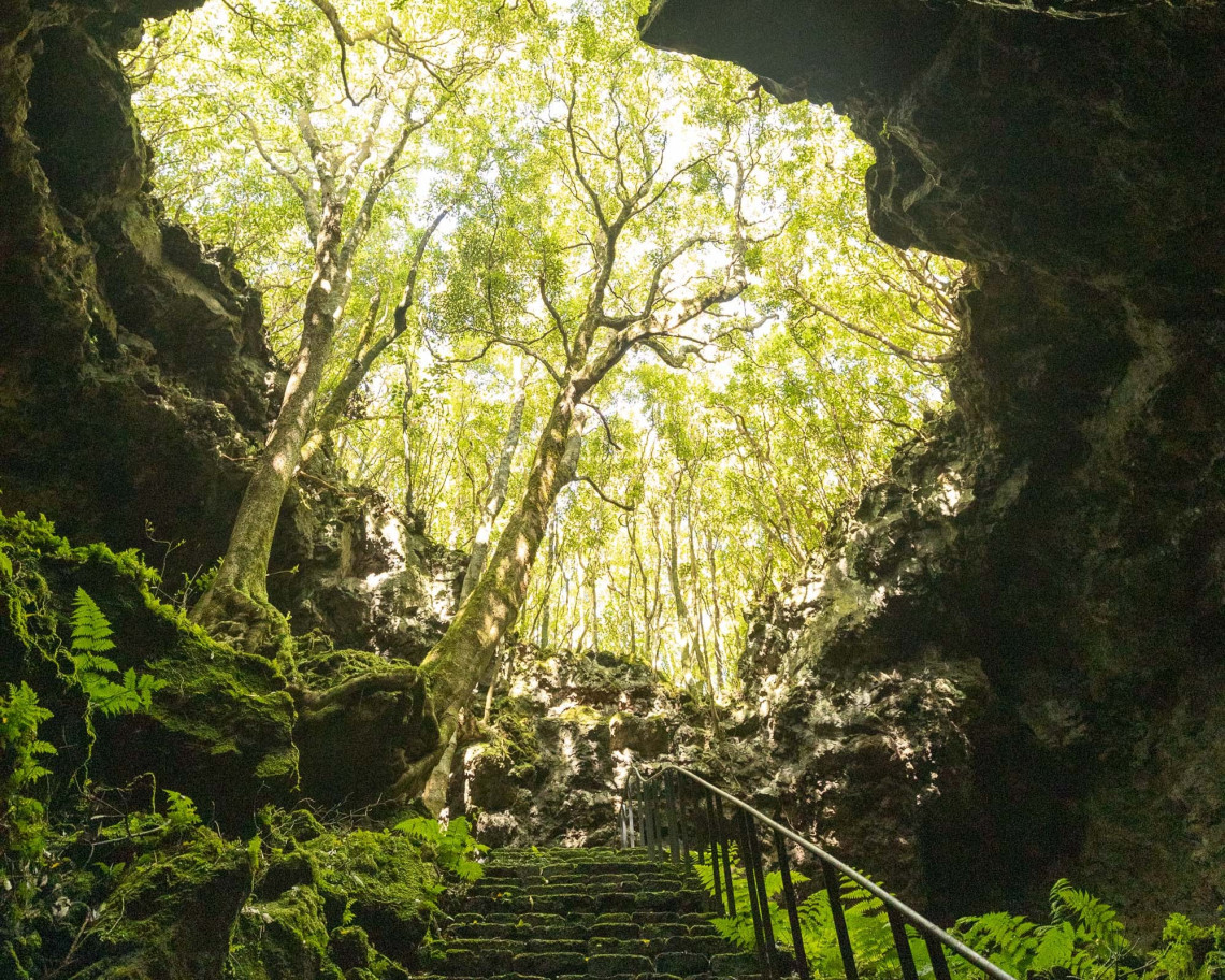 Moss-covered stone steps lead through volcanic rock and dense forest at the entrance to Gruta das Torres in Cria&ccedil;&atilde;o Velha on Pico Island.