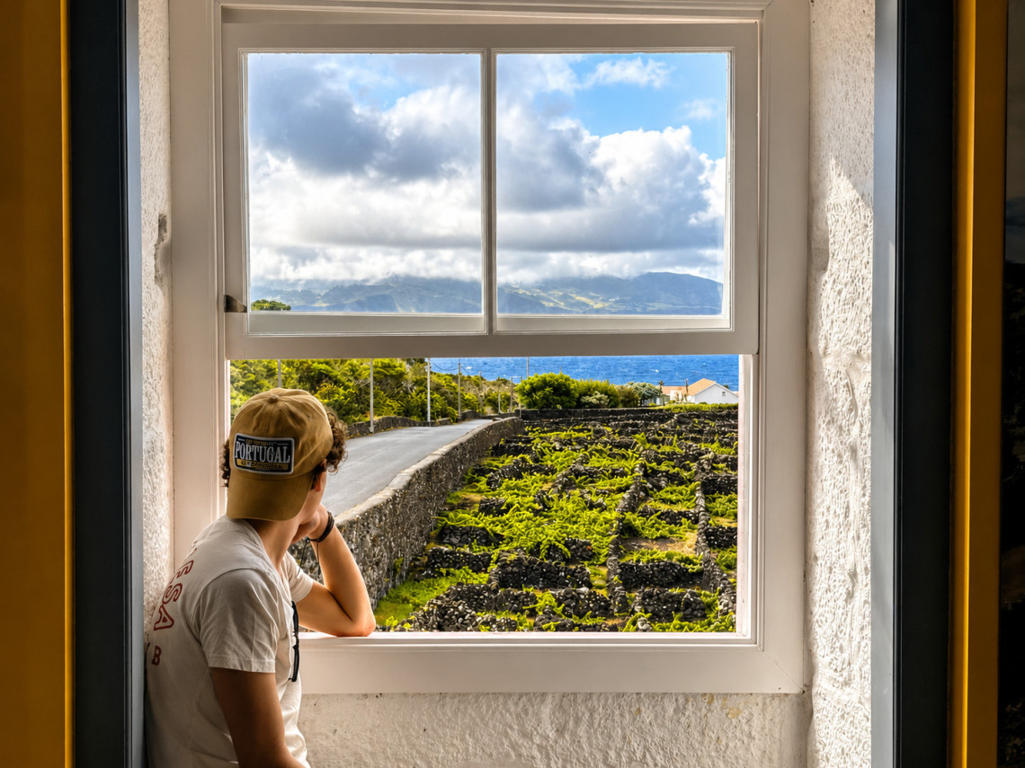 Visitor looking through a window across Pico Island&rsquo;s vineyards, where vines grow between black basalt walls with the Atlantic Ocean and Faial Island in the distance.