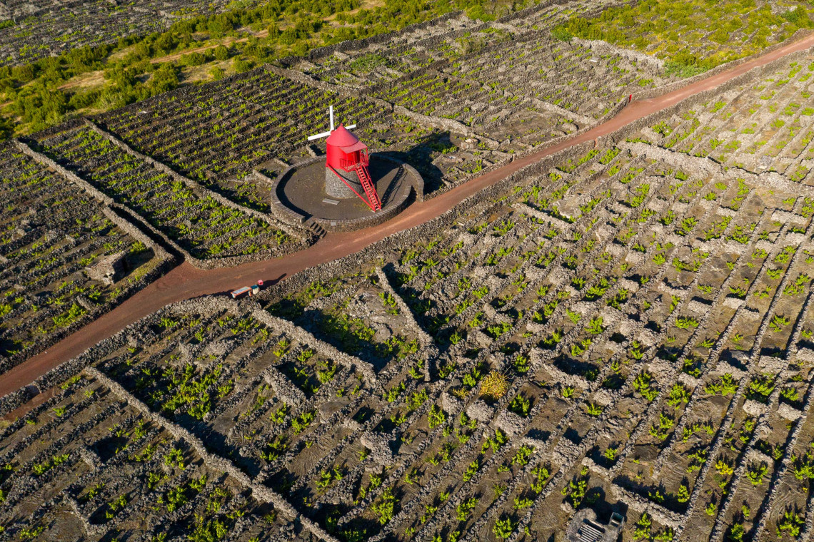 Aerial view of the red Moinho do Frade surrounded by basalt-walled vineyards in Criação Velha on Pico Island.