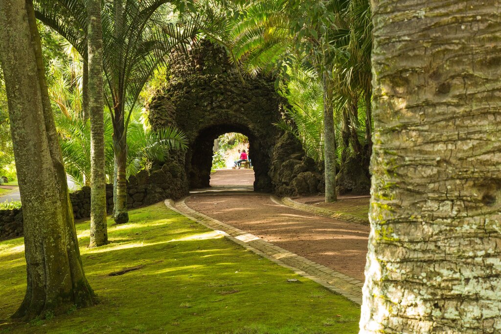 Shaded pathway through Jardim Ant&oacute;nio Borges in Ponta Delgada, lined with mature palm trees, lush vegetation and a rustic stone archway.