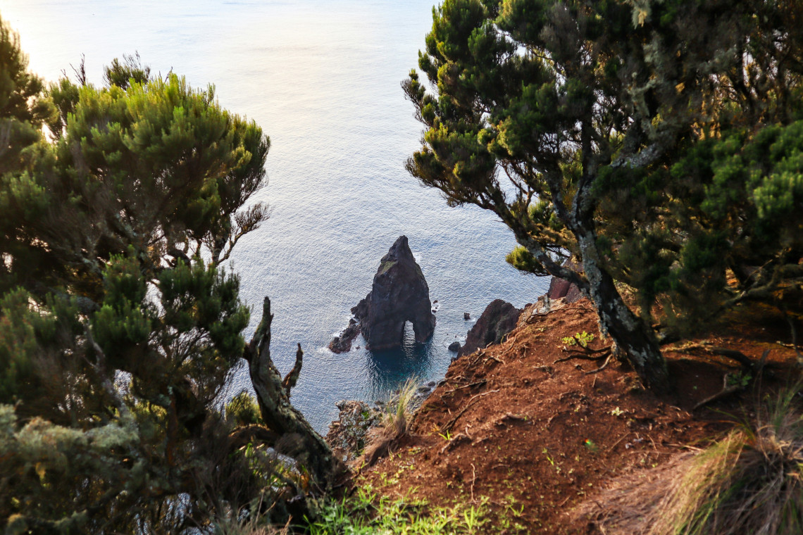 Tall volcanic rock formation rising from the Atlantic Ocean off S&atilde;o Jorge Island, viewed through dense coastal vegetation above the rugged shoreline.