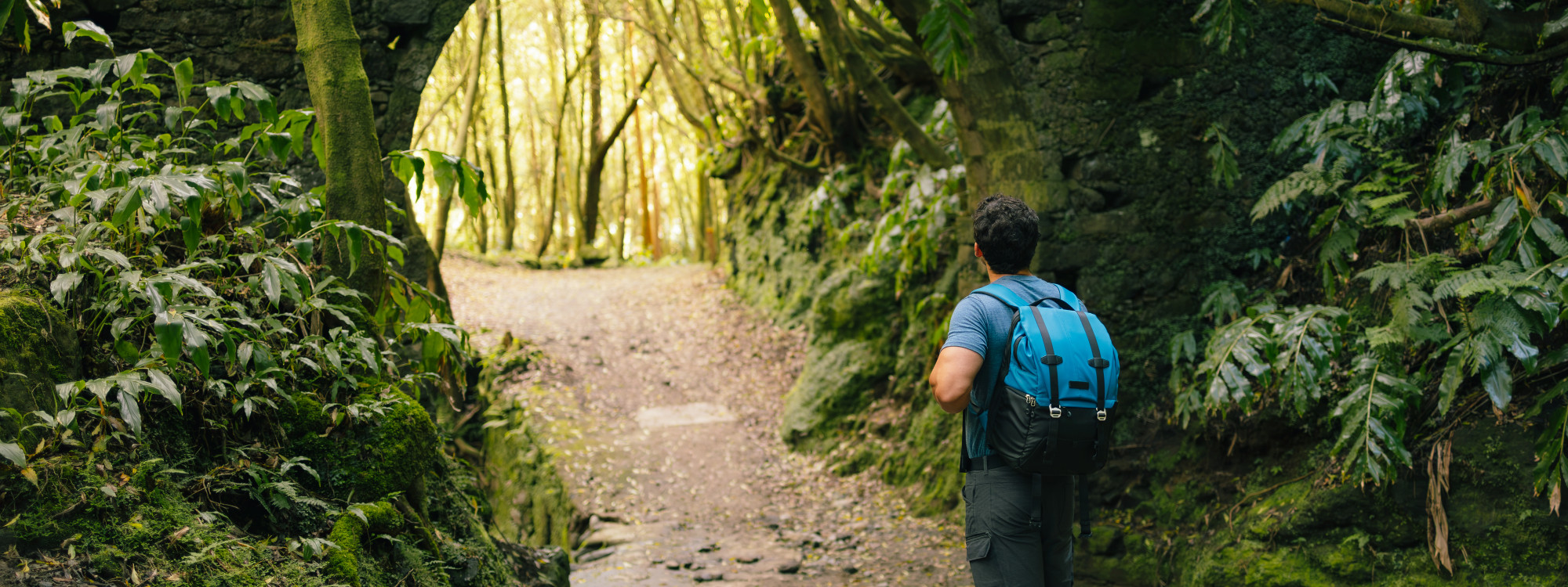 Hiker walking along a forest trail on São Miguel Island, surrounded by dense vegetation, ferns and native Azorean greenery.