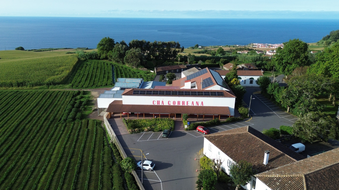 Aerial view of the Gorreana Tea Factory and surrounding tea fields on the north coast of S&atilde;o Miguel Island, with the Atlantic Ocean stretching beyond the plantation.