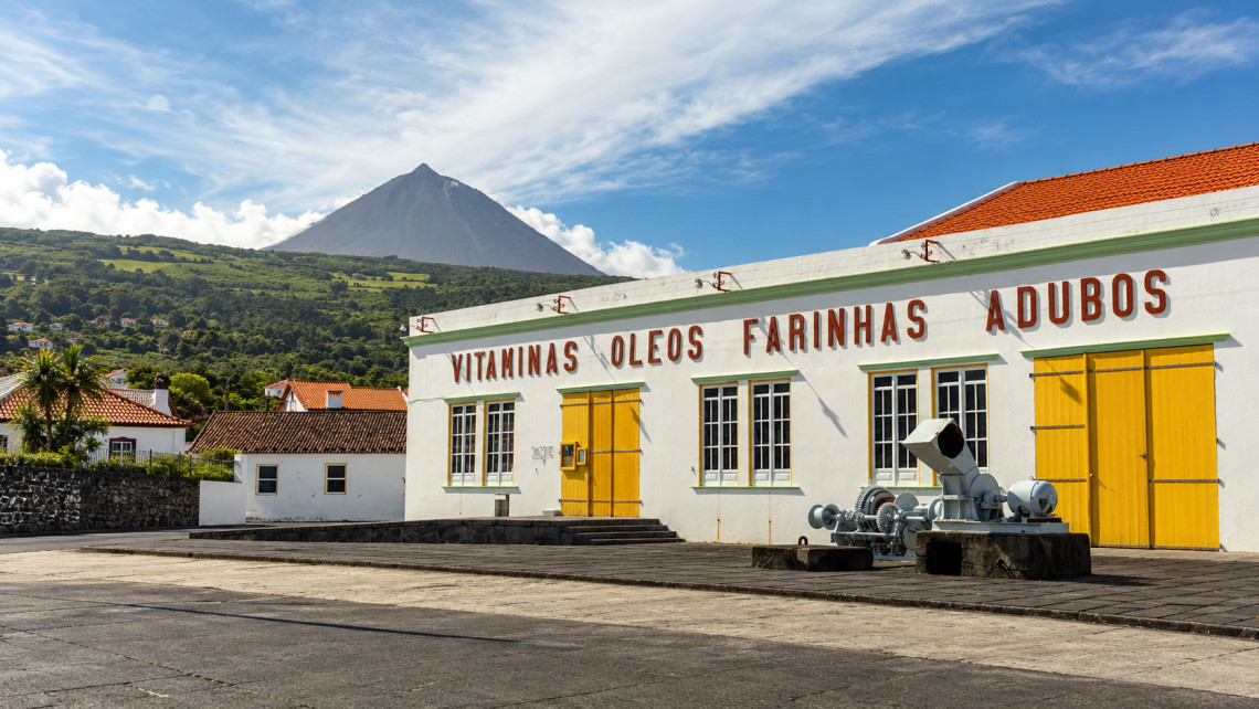 Exterior of the Museu da Ind&uacute;stria Baleeira, a former whale processing factory in S&atilde;o Roque do Pico, featuring white walls, yellow doors, historic machinery and Mount Pico in the background.