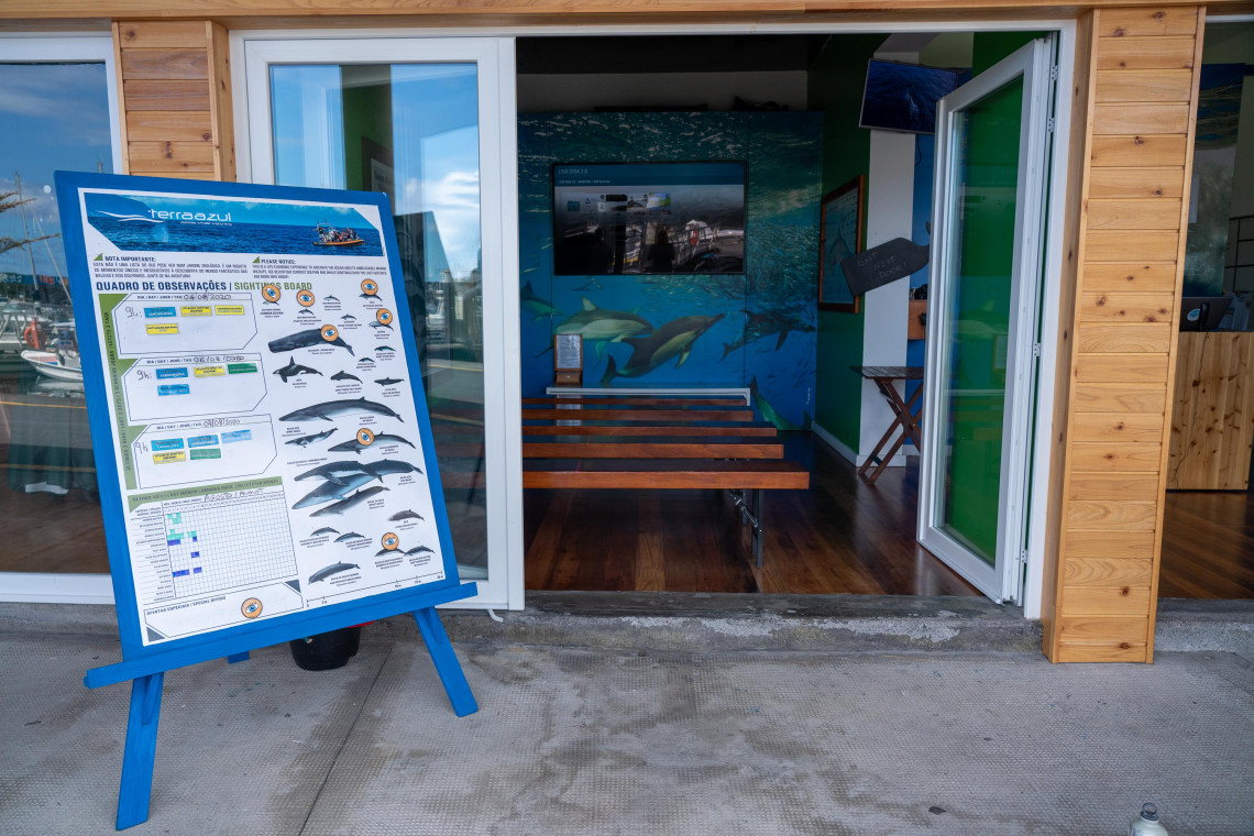 Entrance to a whale and dolphin watching center on S&atilde;o Miguel Island, with an educational marine wildlife display and information about local cetacean species.